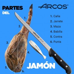 CUPERINOX Jamonero profesional Gondola, tabla jamon, Cuchillo Jamonero  Alveolos Acero Inox + Cubre Jamón Universal, Set cortar jamón (3 PZAS), Sujeta jamones